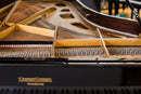 Flügel Grotrian-Steinweg