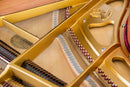 Flügel Schimmel 182
