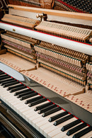 Klavier Steingraeber & Söhne 128