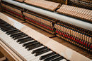 Klavier Yamaha V-114 Silent