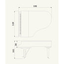 Flügel Yamaha C3X