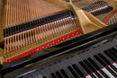 Kawai KG-1