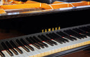 Flügel Yamaha G-5